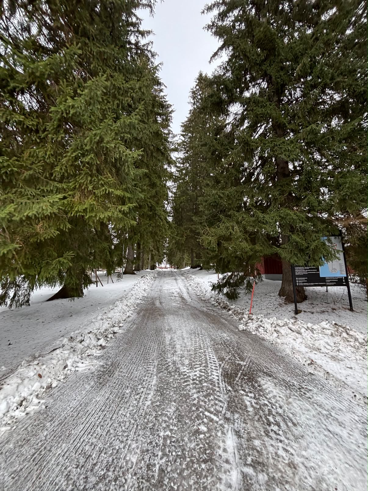 Vintervei gjennom en stille granskog
